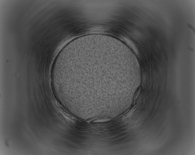 X0000097501435200803201542