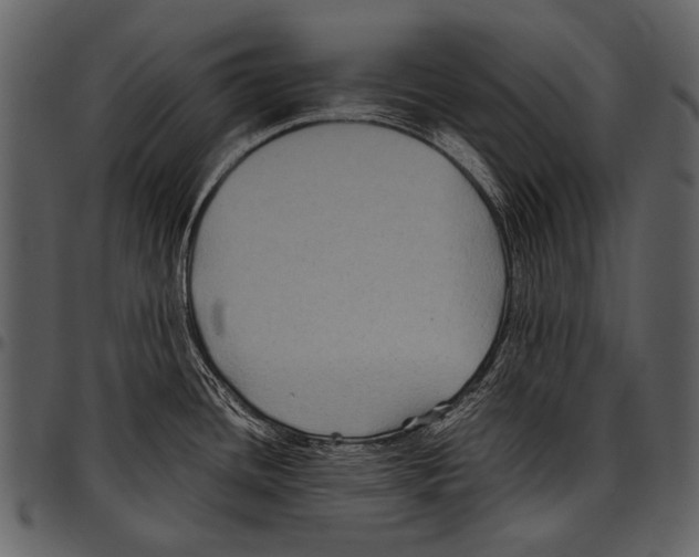 X0000097501436200803201542