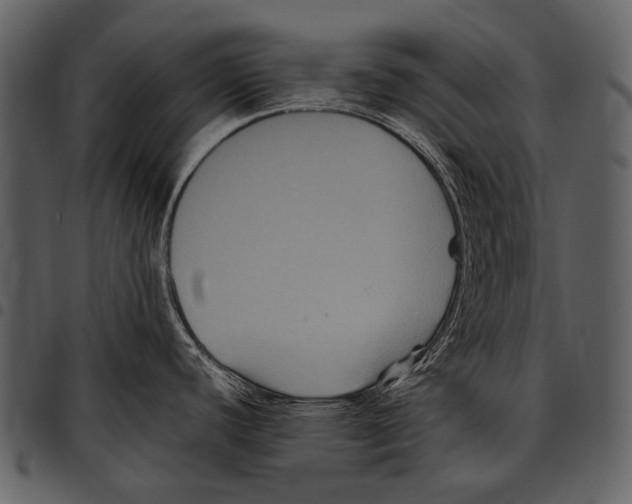 X0000097501440200803201542