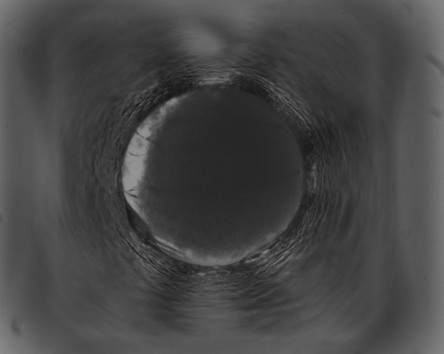 X0000097501441200803201542