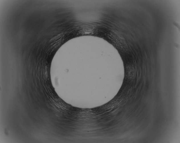 X0000097501442200803201542