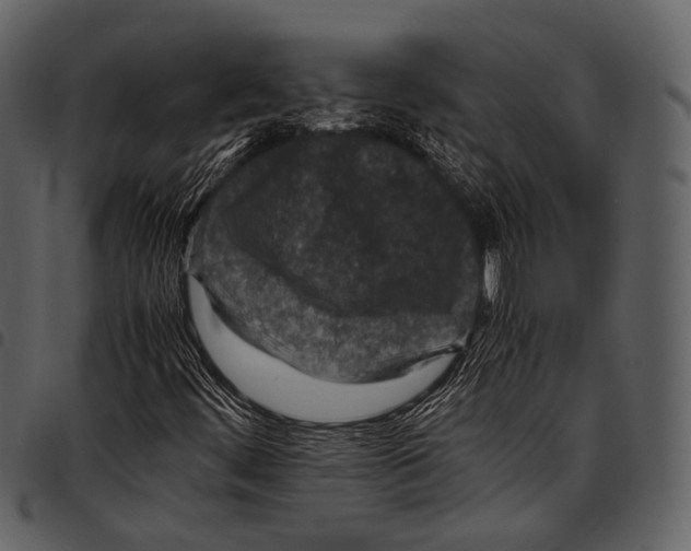 X0000097501444200803201542