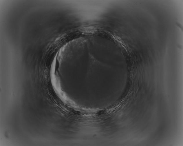 X0000097501445200803201542