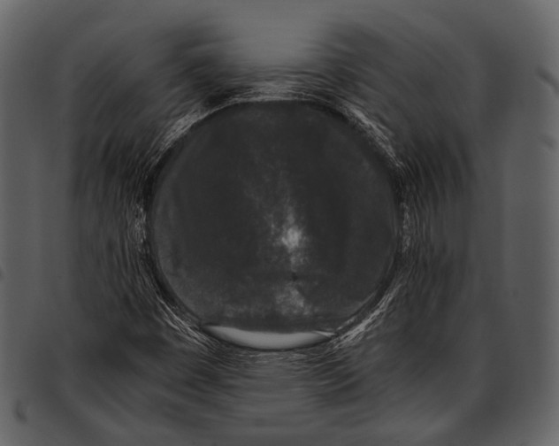 X0000097501449200803201542