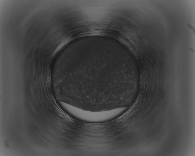 X0000097501450200803201542