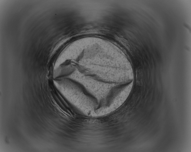 X0000097501452200803201542