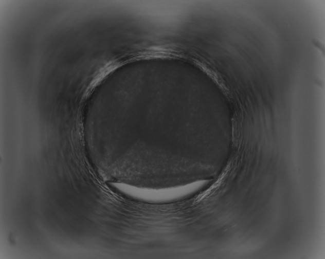 X0000097501453200803201542