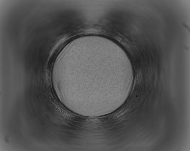 X0000097501454200803201542