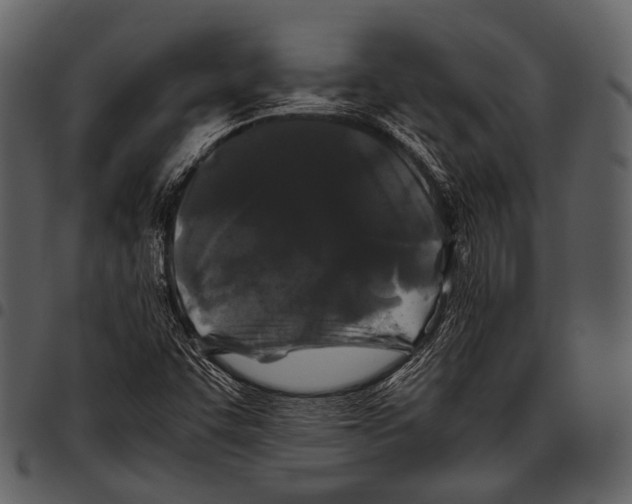 X0000097501455200803201542