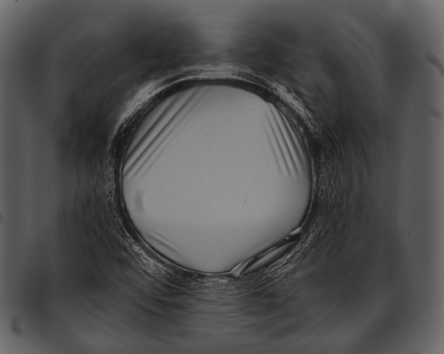 X0000097501456200803201542