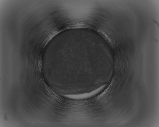 X0000097501457200803201542