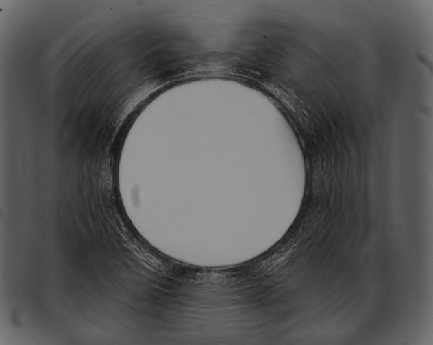 X0000097501458200803201542