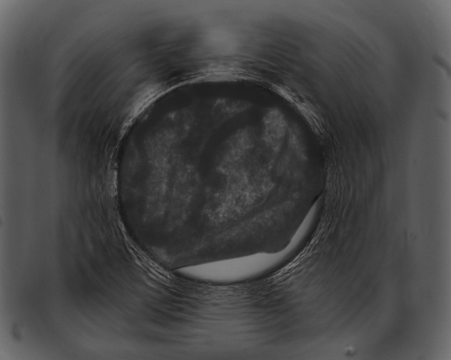 X0000097501459200803201542