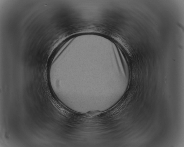 X0000097501460200803201542