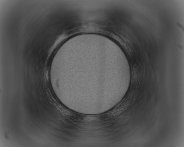 X0000097501462200803201542