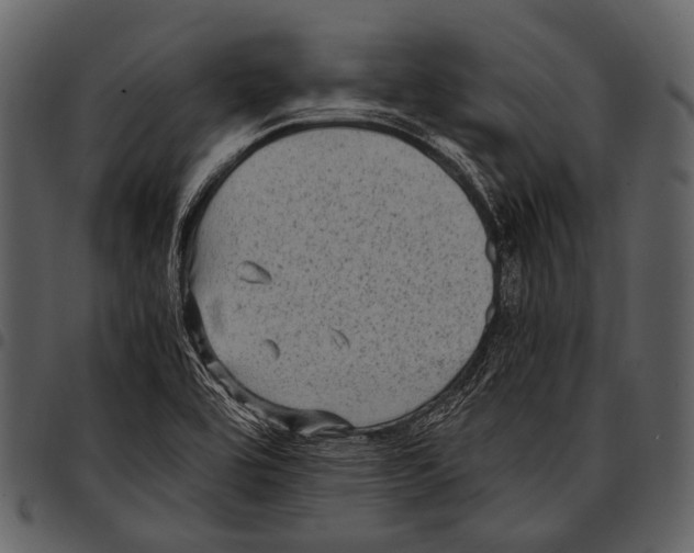 X0000097501464200803201542