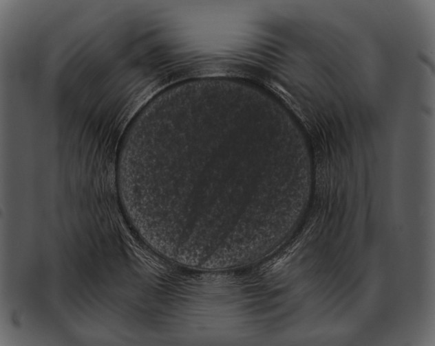 X0000097501465200803201542