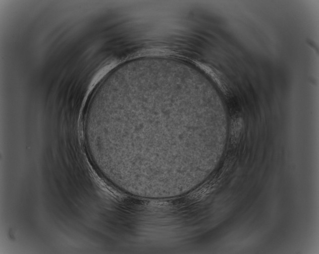 X0000097501466200803201541