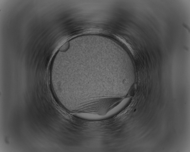 X0000097501467200803201541