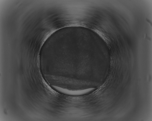 X0000097501468200803201541