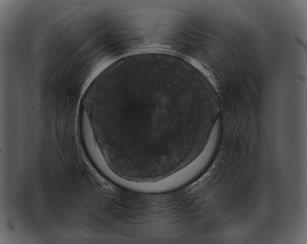 X0000097501469200803201541