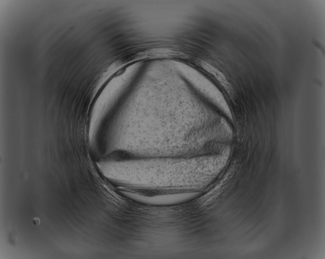 X0000097501473200803201541