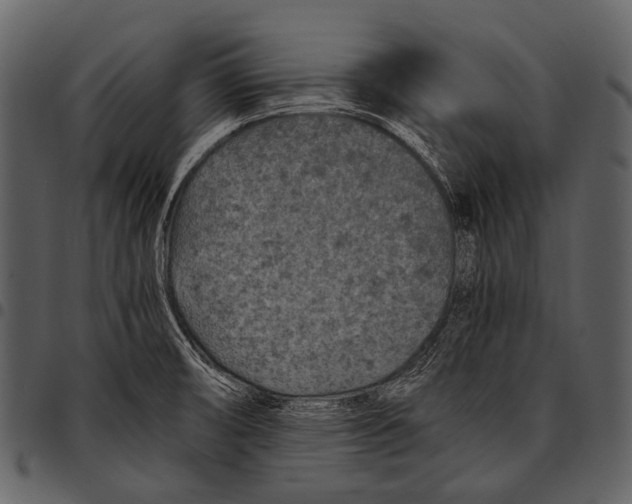 X0000097501474200803201541