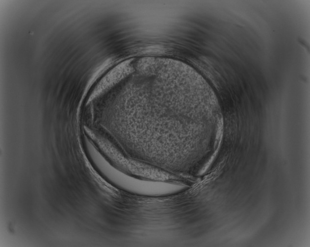 X0000097501475200803201541