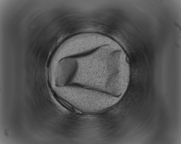 X0000097501476200803201541