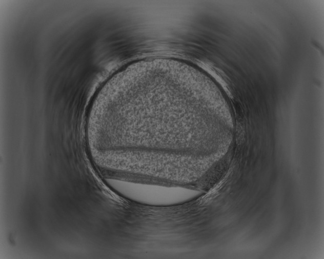 X0000097501477200803201541