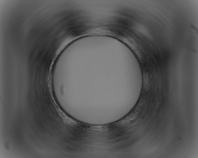 X0000097501478200803201541