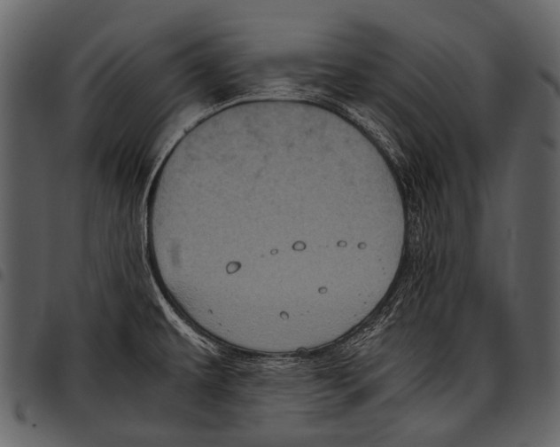 X0000097501479200803201541