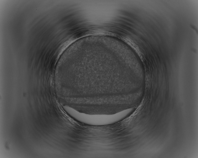 X0000097501481200803201541