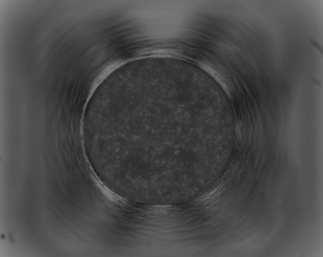 X0000097501482200803201541