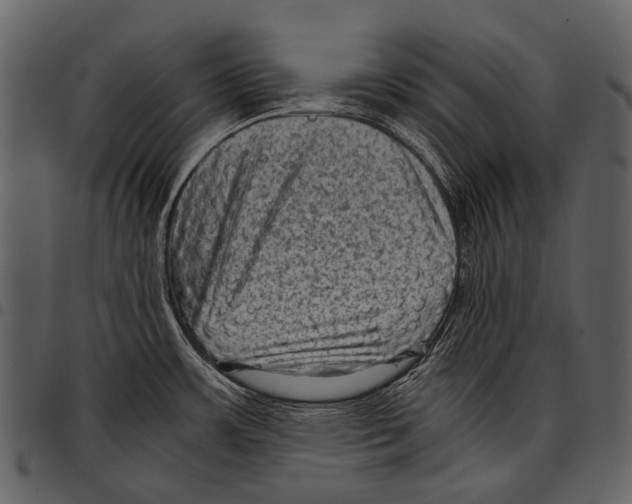 X0000097501483200803201541