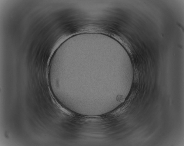 X0000097501486200803201541