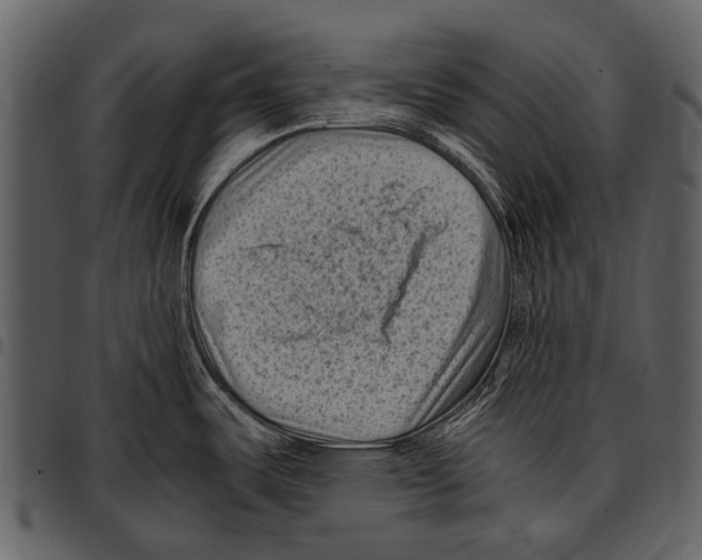 X0000097501487200803201541