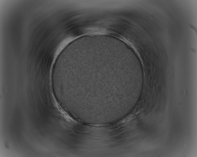 X0000097501488200803201541