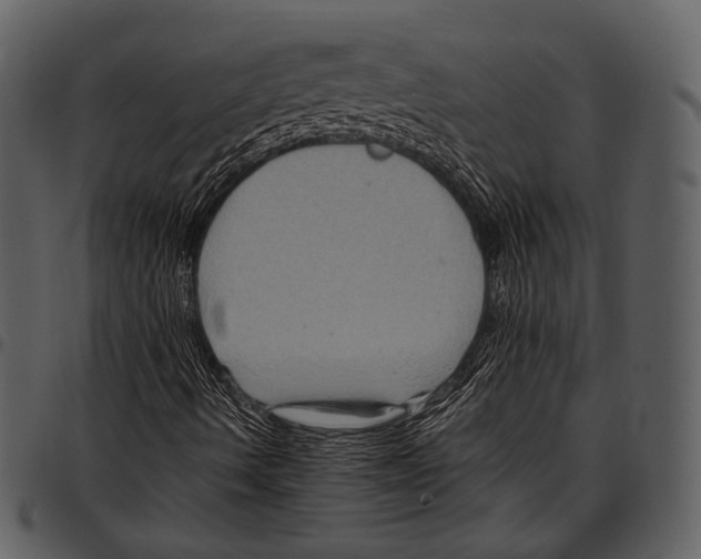X0000097501490200803201541