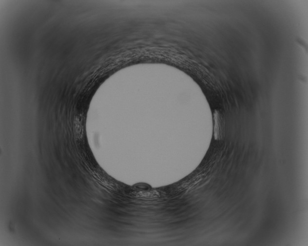 X0000097501491200803201541