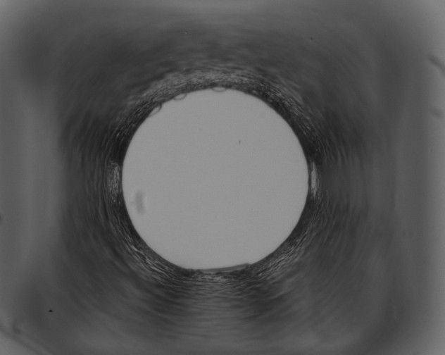 X0000097501492200803201541