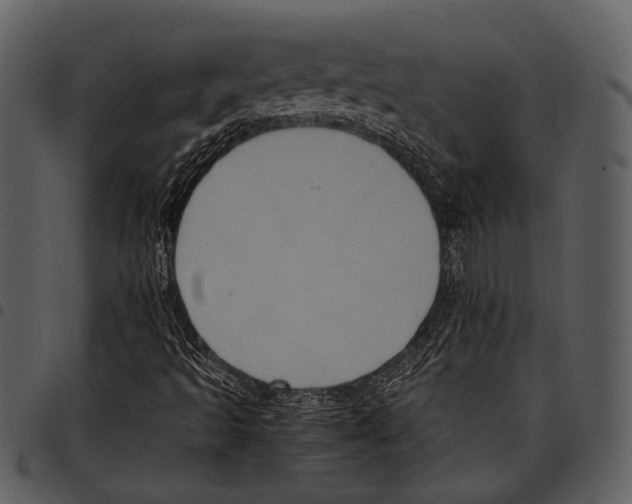 X0000097501493200803201541