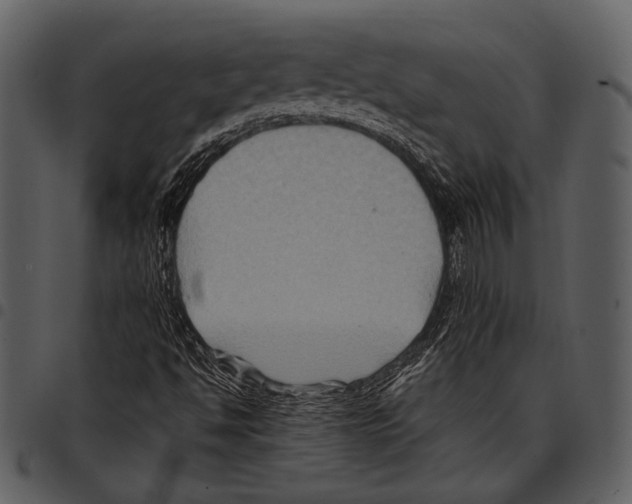 X0000097501494200803201541