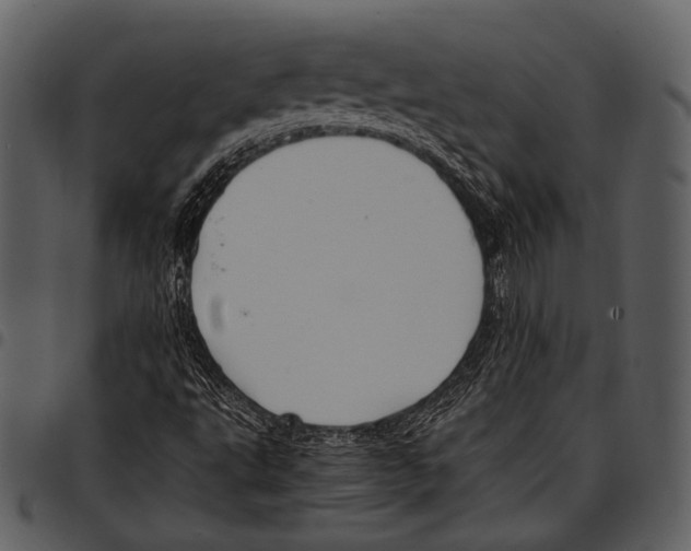 X0000097501495200803201541