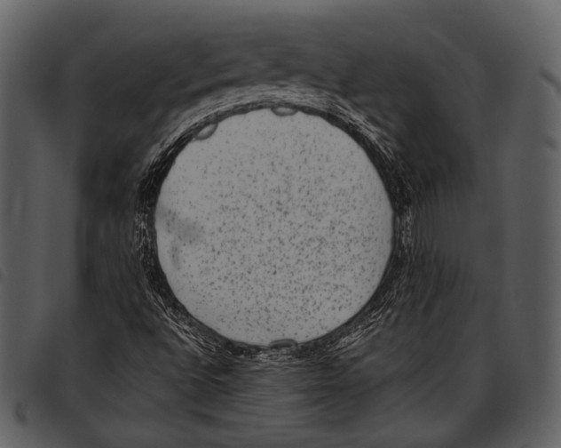 X0000097501496200803201541