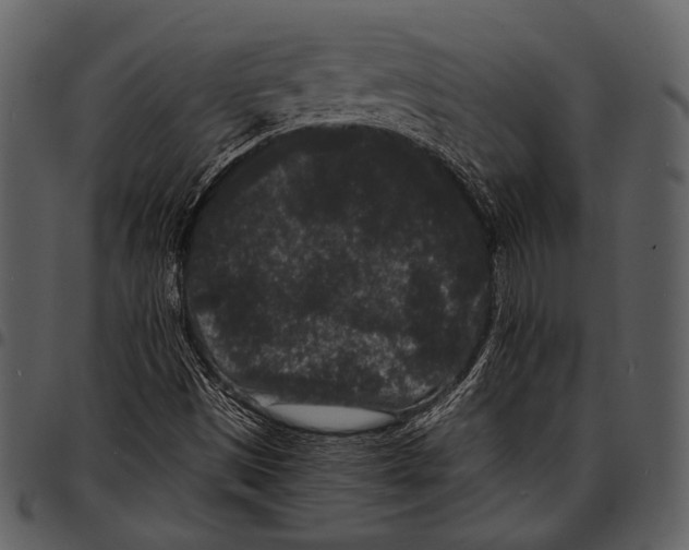 X0000097501497200803201541