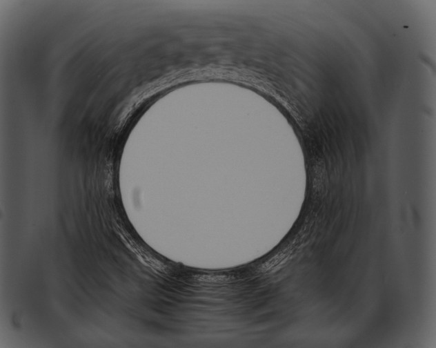 X0000097501499200803201541