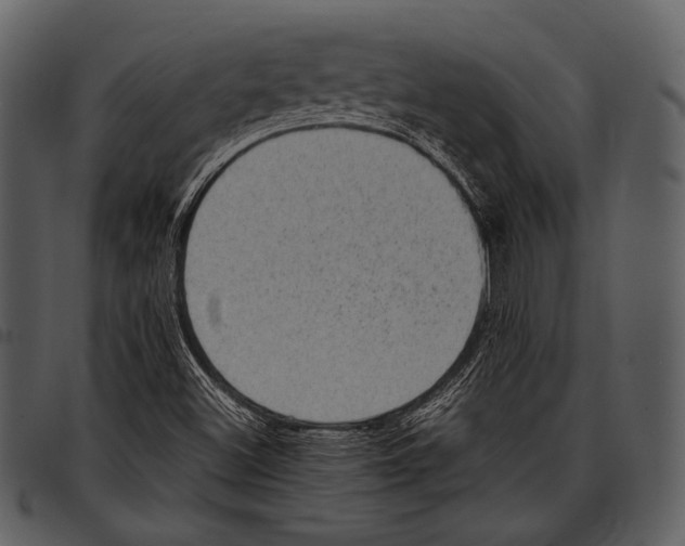 X0000097501500200803201541