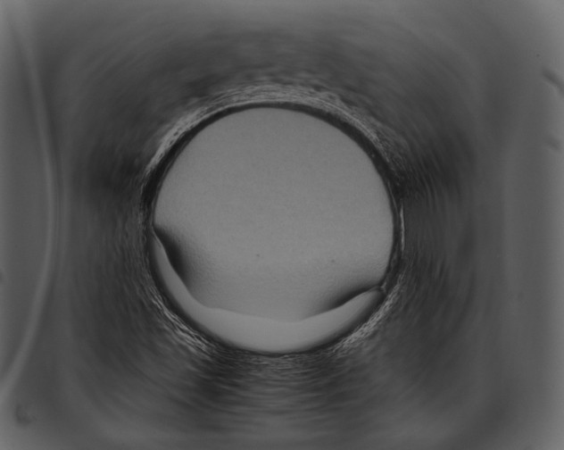X0000097501501200803201541