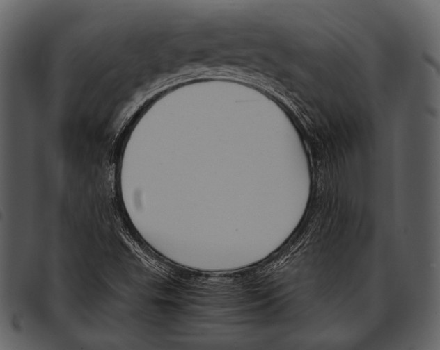 X0000097501503200803201541